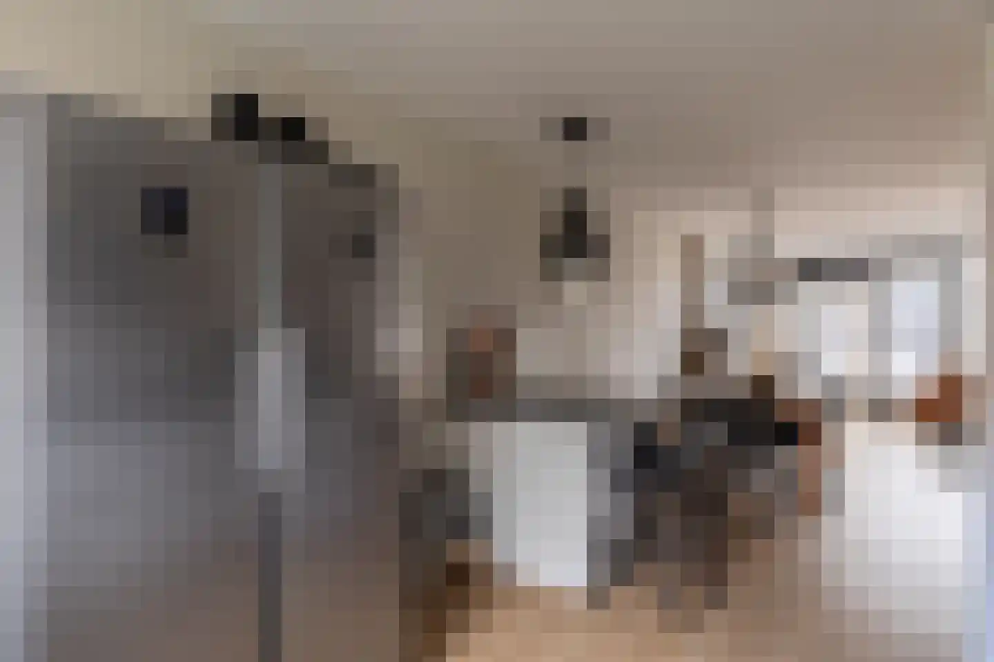 Fie Carelsentuin 11 Heerhugowaard thumbnail 13