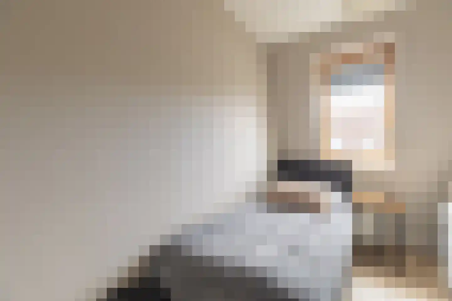 Fie Carelsentuin 11 Heerhugowaard thumbnail 16