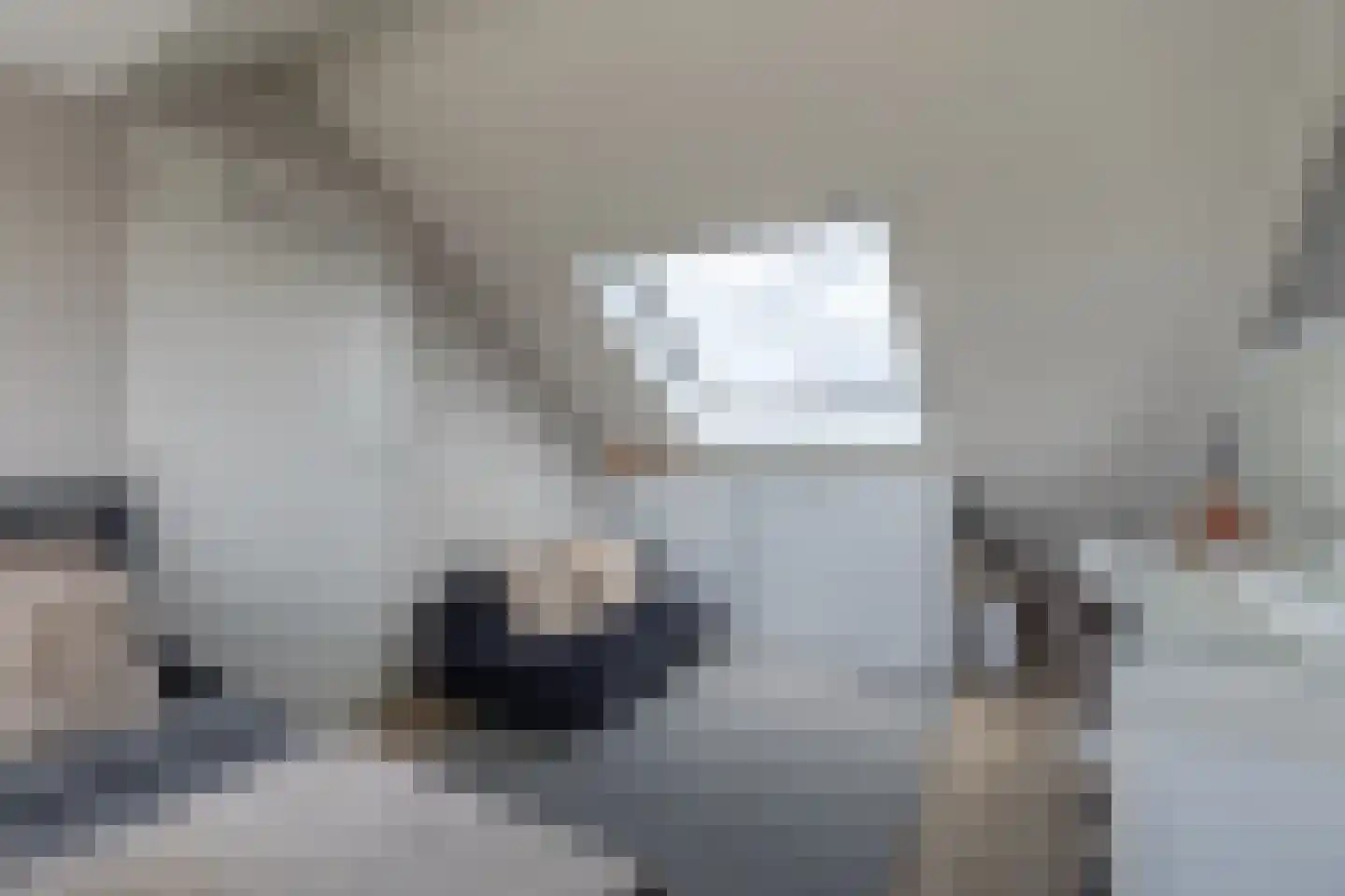 Fie Carelsentuin 11 Heerhugowaard thumbnail 28
