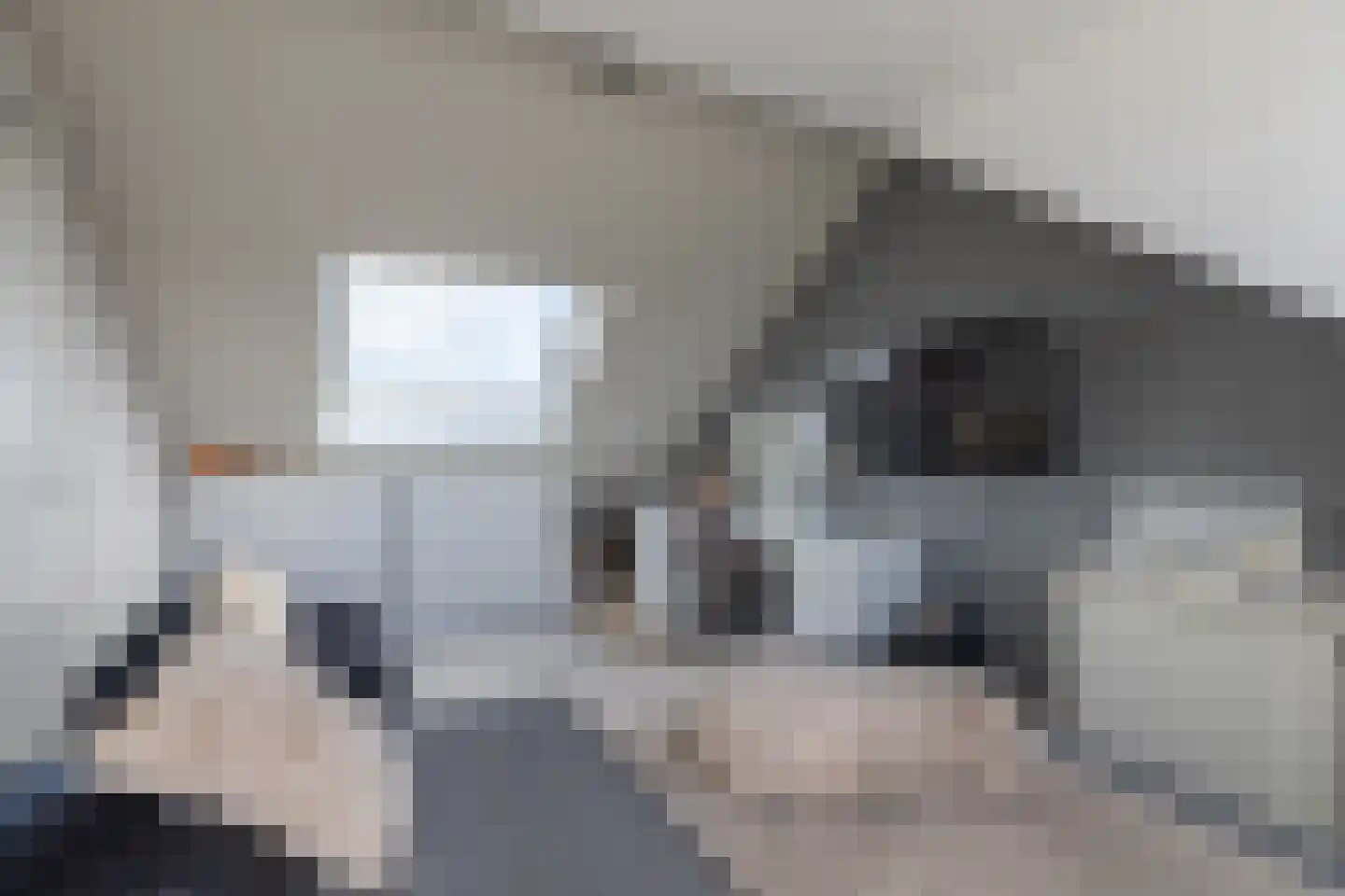 Fie Carelsentuin 11 Heerhugowaard thumbnail 29