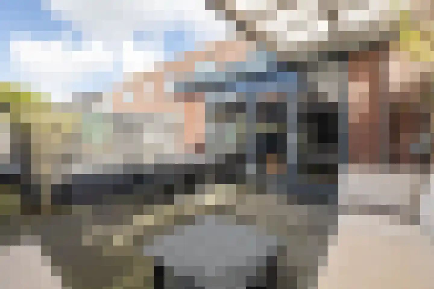 Fie Carelsentuin 11 Heerhugowaard thumbnail 32