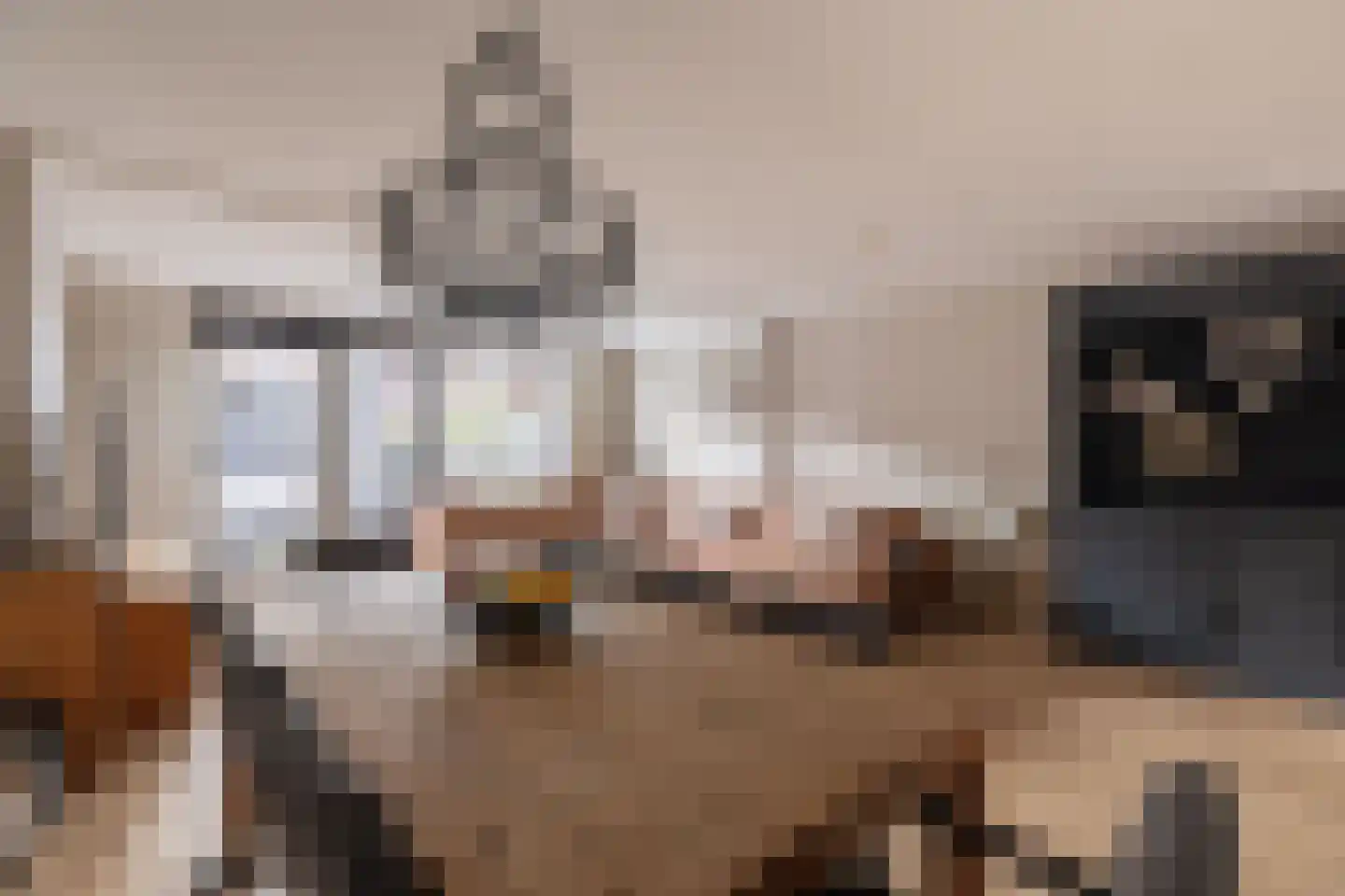 Fie Carelsentuin 11 Heerhugowaard thumbnail 6