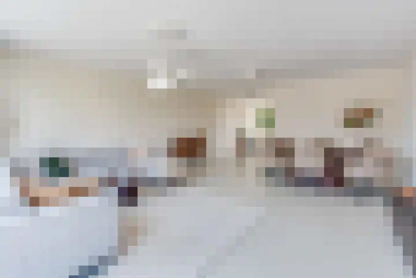 Fie Sijbrantstraat 45 Culemborg thumbnail 16