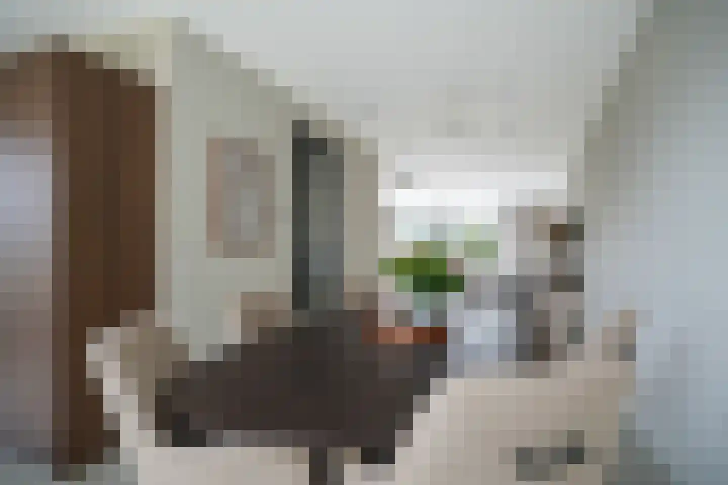 Fie Sijbrantstraat 45 Culemborg thumbnail 17