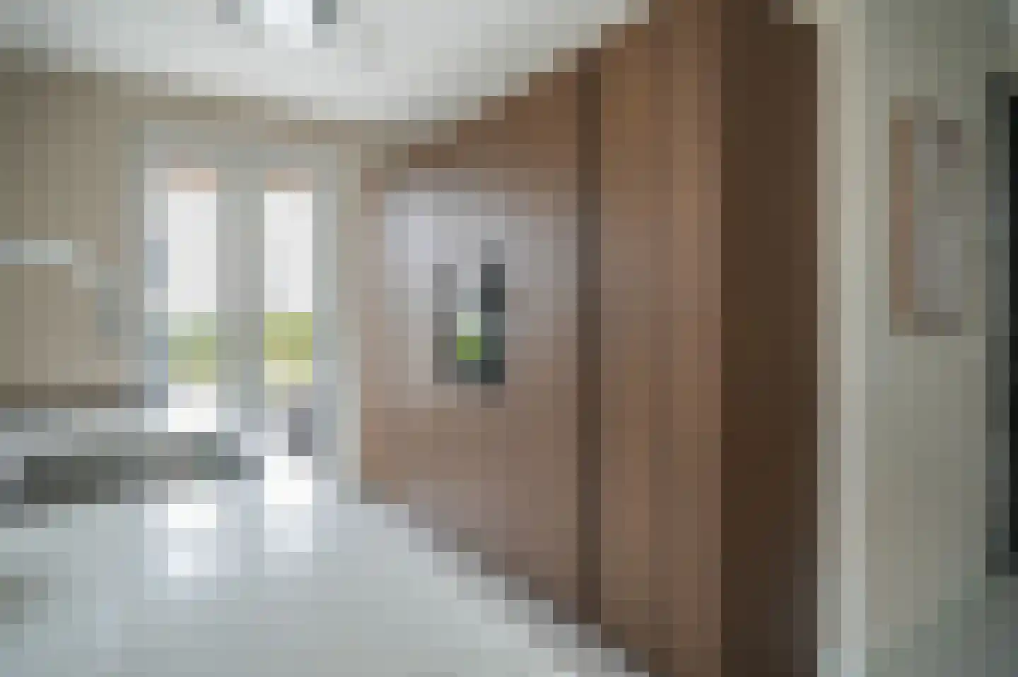 Fie Sijbrantstraat 45 Culemborg thumbnail 19