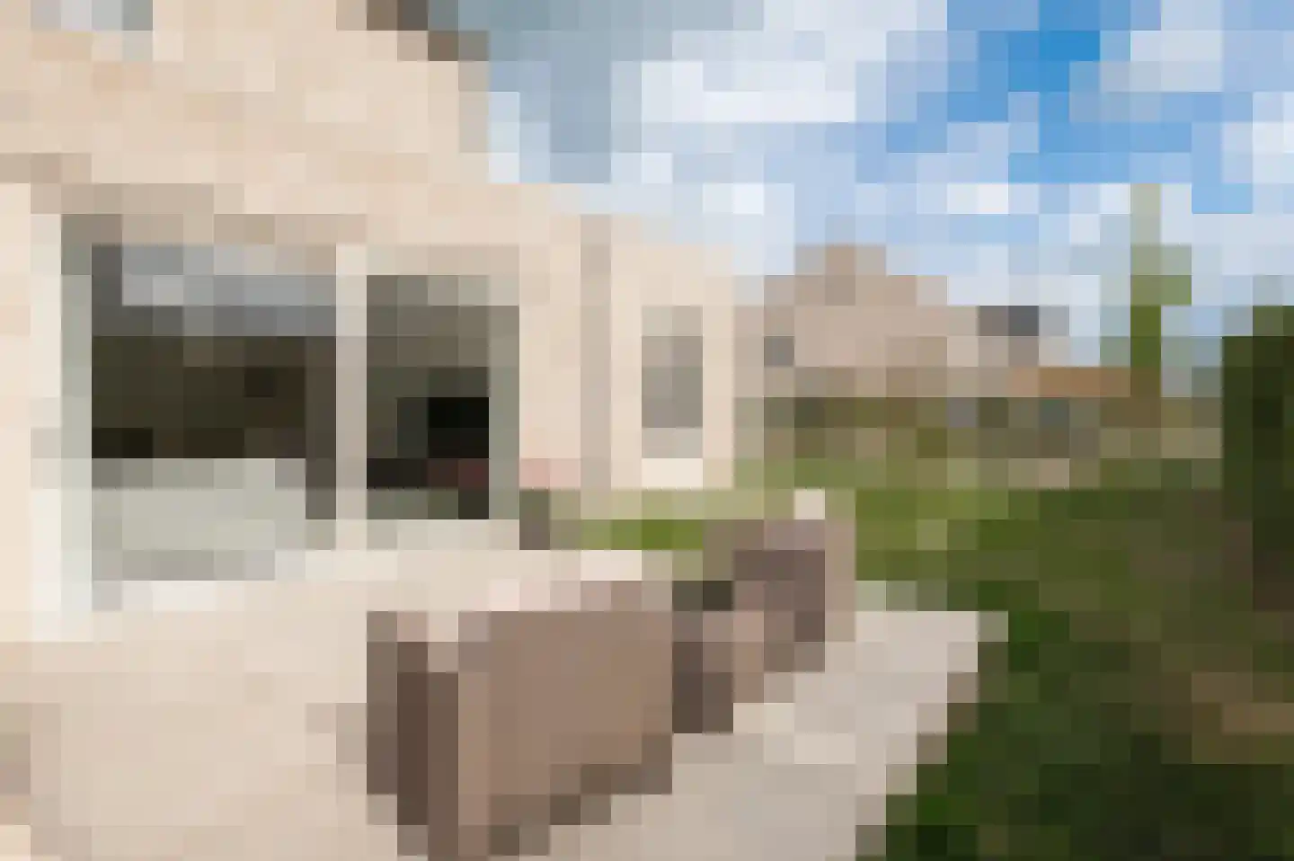 Fie Sijbrantstraat 45 Culemborg thumbnail 20
