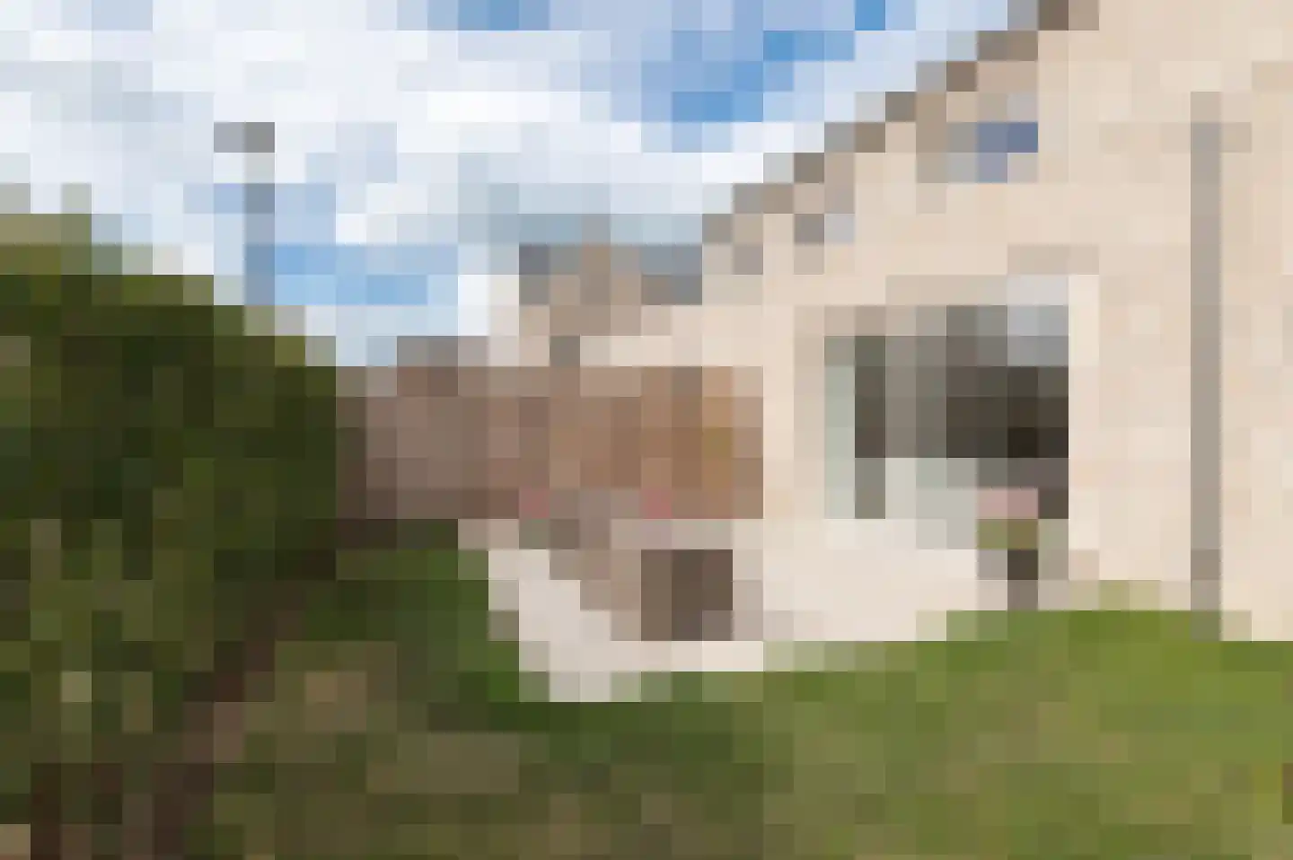 Fie Sijbrantstraat 45 Culemborg thumbnail 21