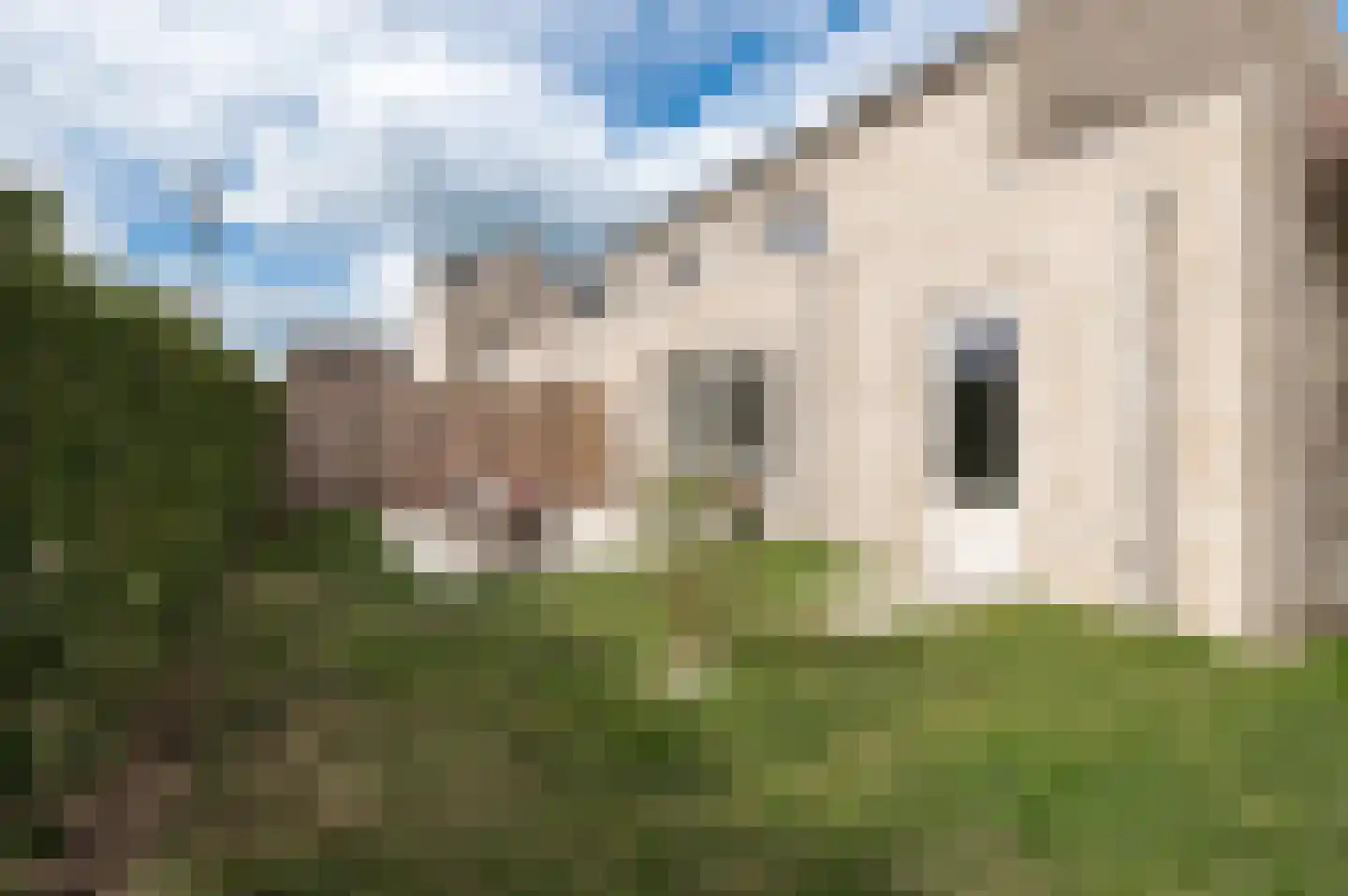 Fie Sijbrantstraat 45 Culemborg thumbnail 24