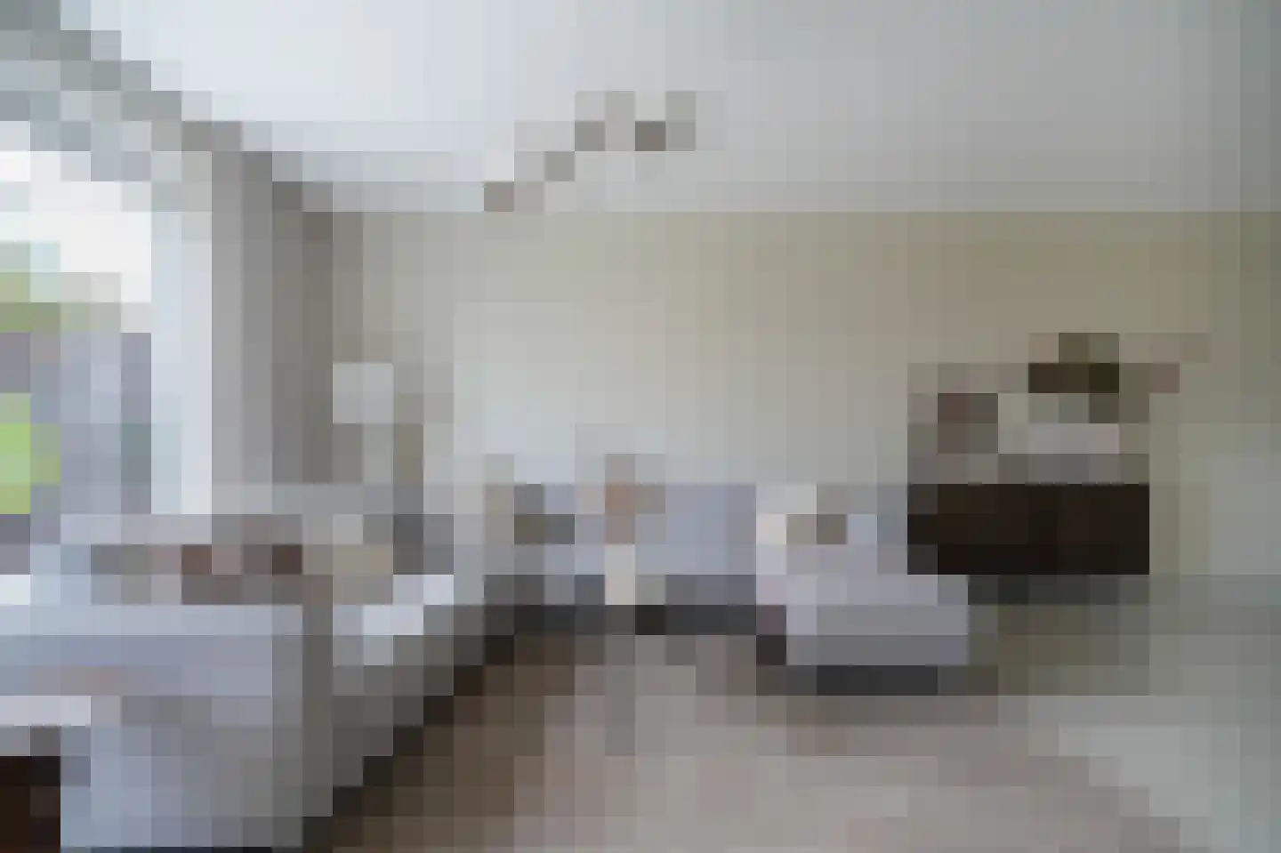 Fie Sijbrantstraat 45 Culemborg thumbnail 27