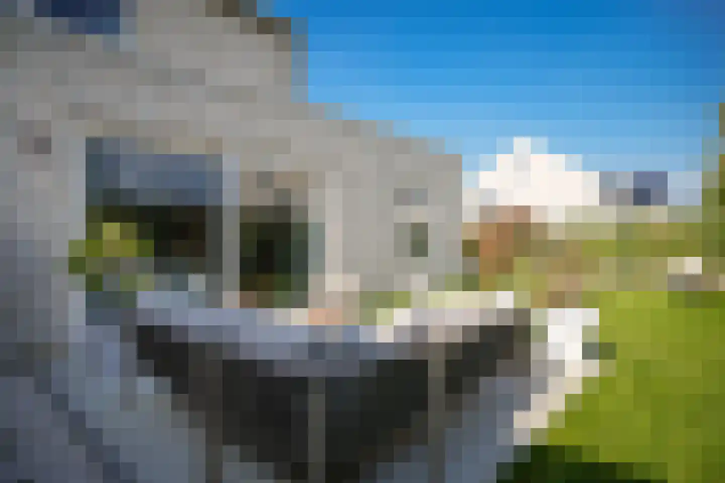 Fie Sijbrantstraat 45 Culemborg thumbnail 37