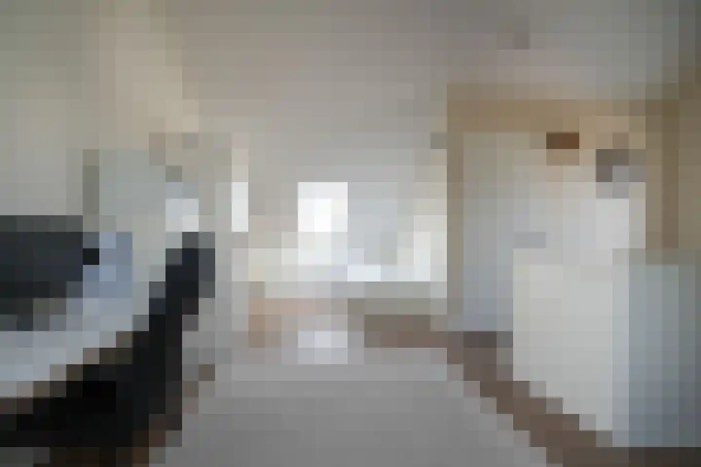 Fie Sijbrantstraat 45 Culemborg thumbnail 54