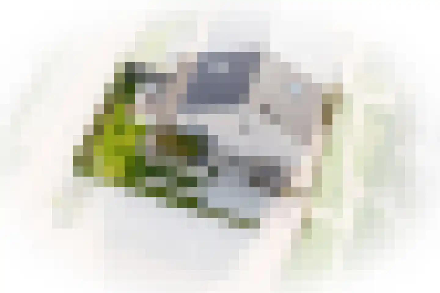 Fie Sijbrantstraat 45 Culemborg thumbnail 56