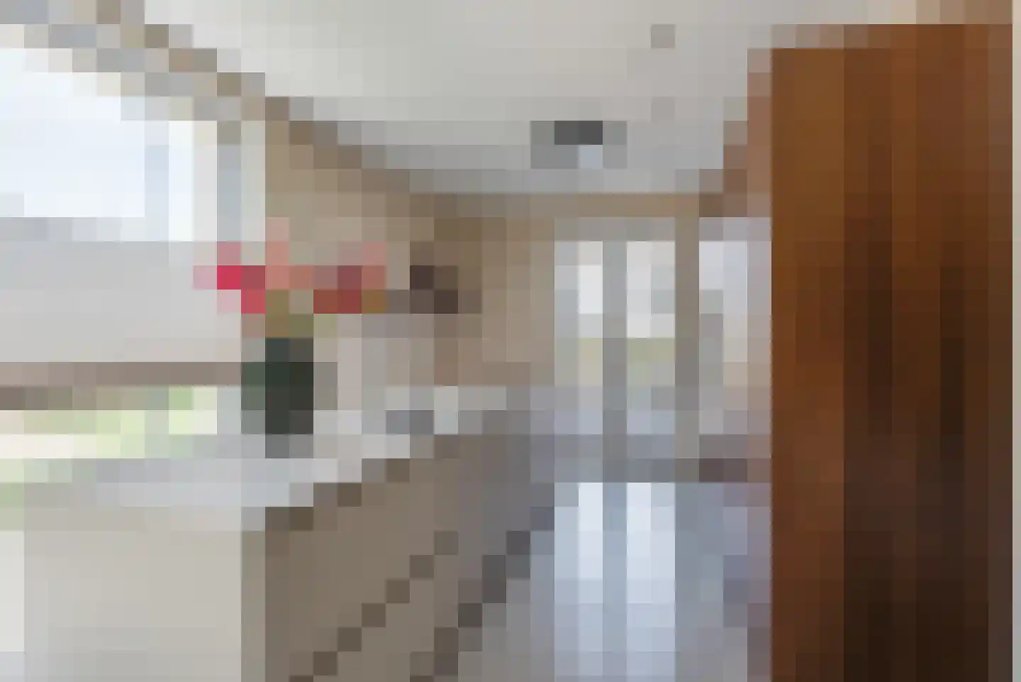 Fie Sijbrantstraat 45 Culemborg thumbnail 9