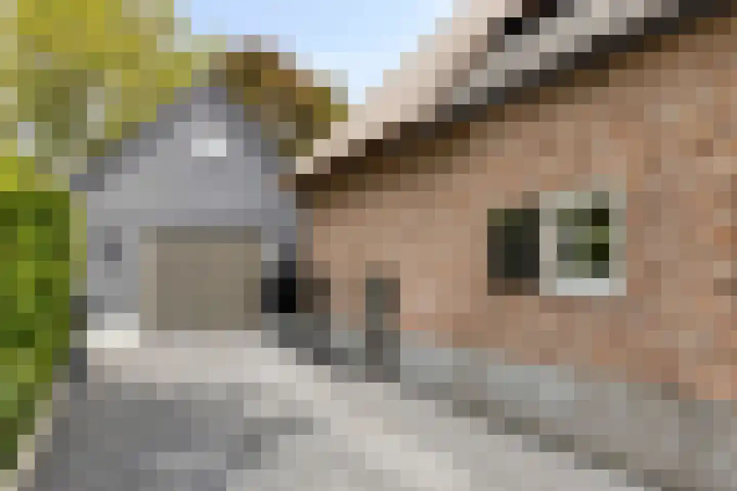 Fielepien 11 Gemert thumbnail 10