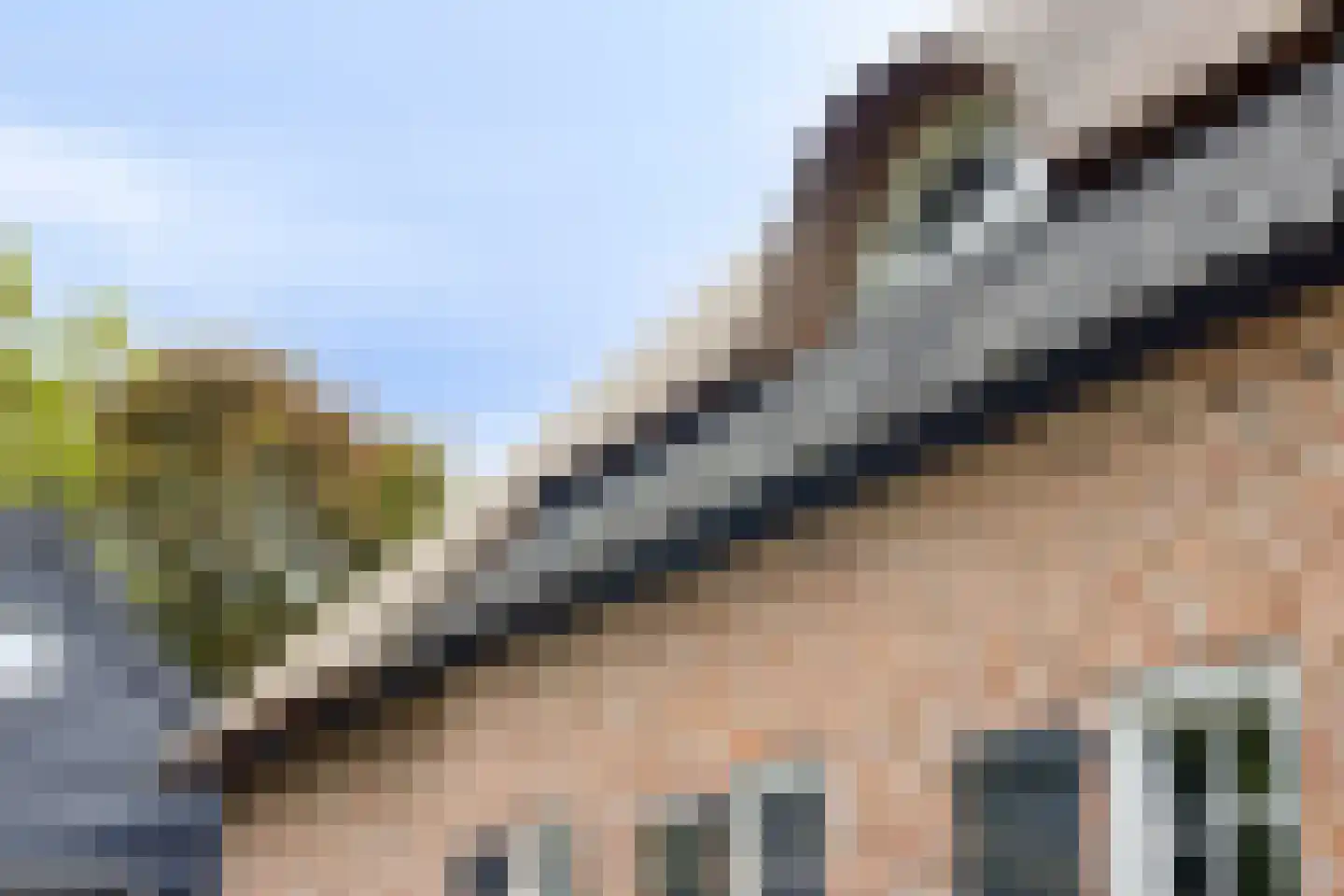 Fielepien 11 Gemert thumbnail 11
