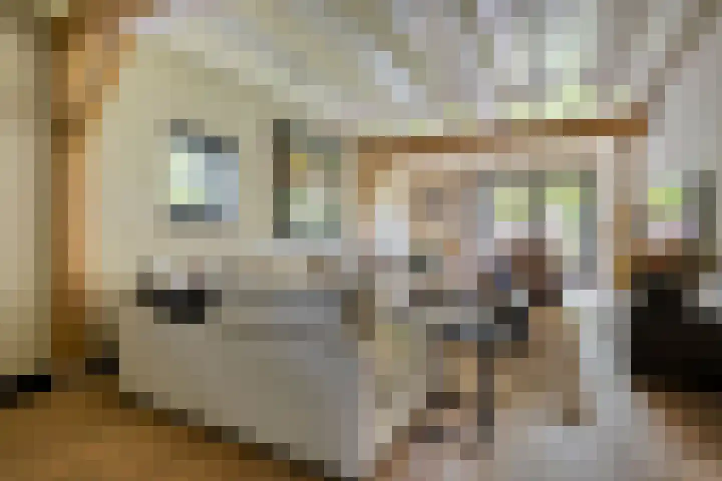 Fielepien 11 Gemert thumbnail 17