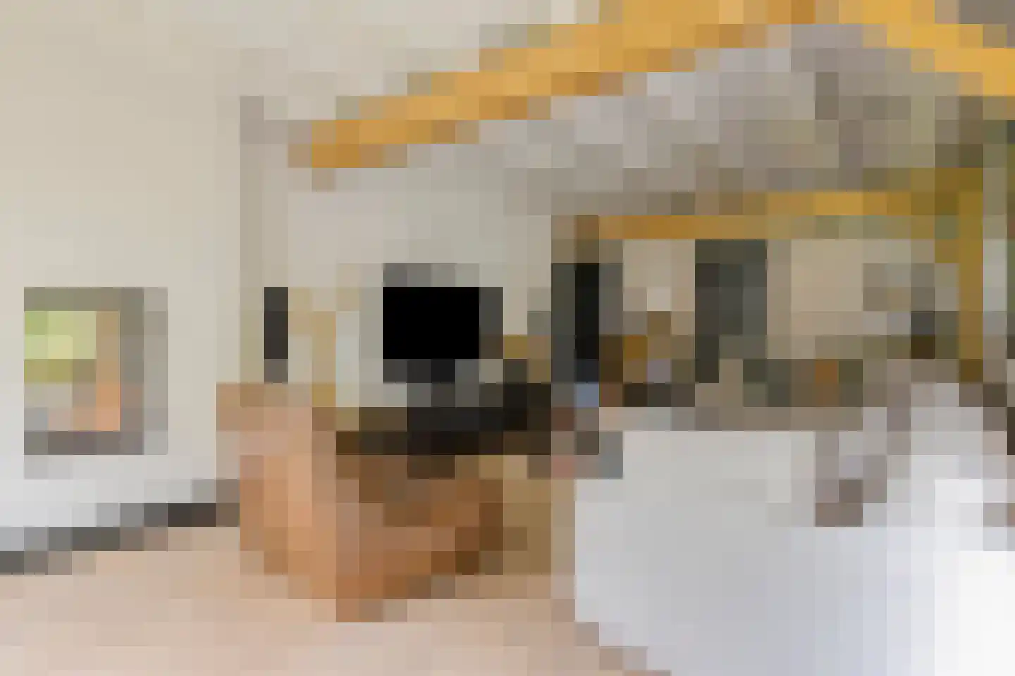 Fielepien 11 Gemert thumbnail 22