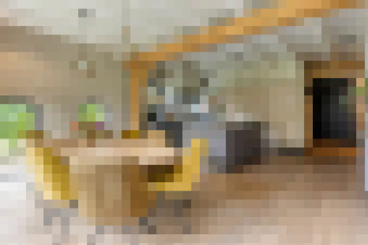 Fielepien 11 Gemert thumbnail 26