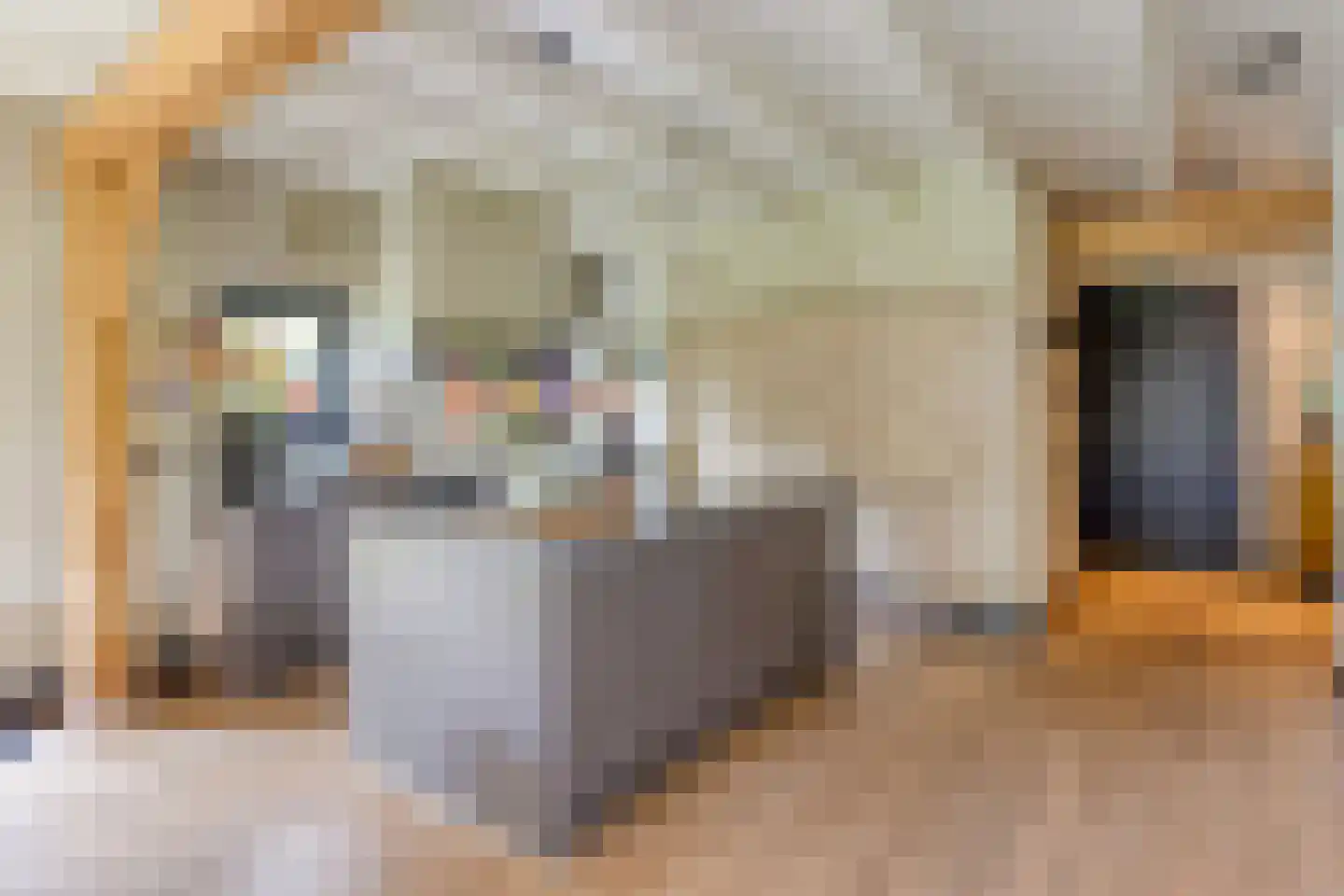Fielepien 11 Gemert thumbnail 28