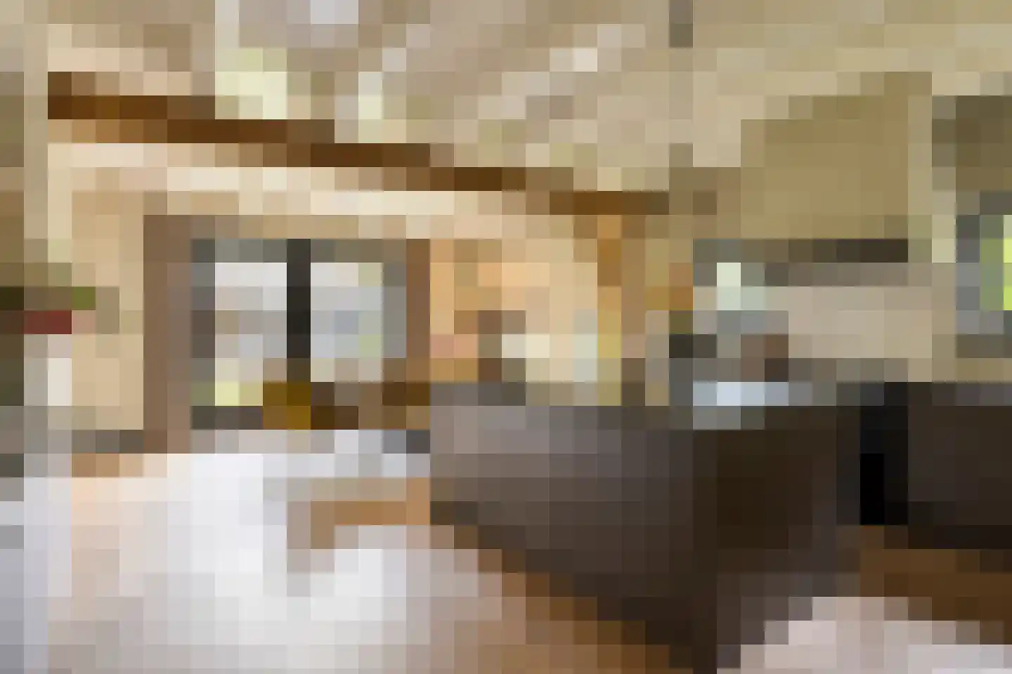 Fielepien 11 Gemert thumbnail 30
