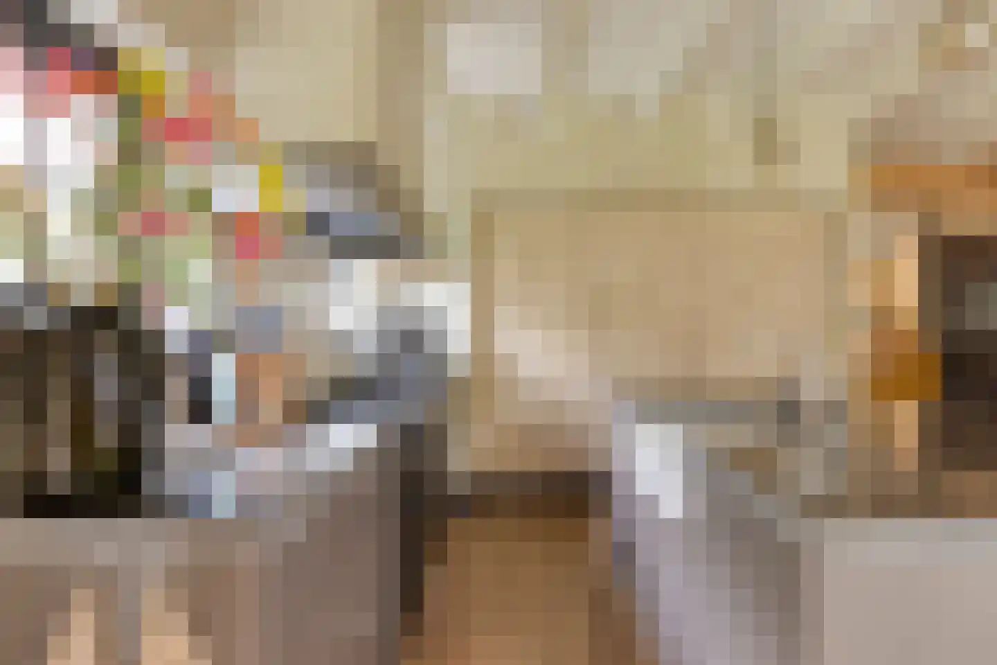 Fielepien 11 Gemert thumbnail 32