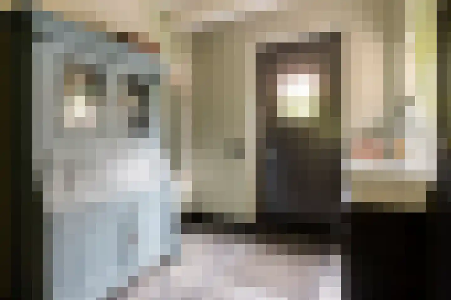 Fielepien 11 Gemert thumbnail 33