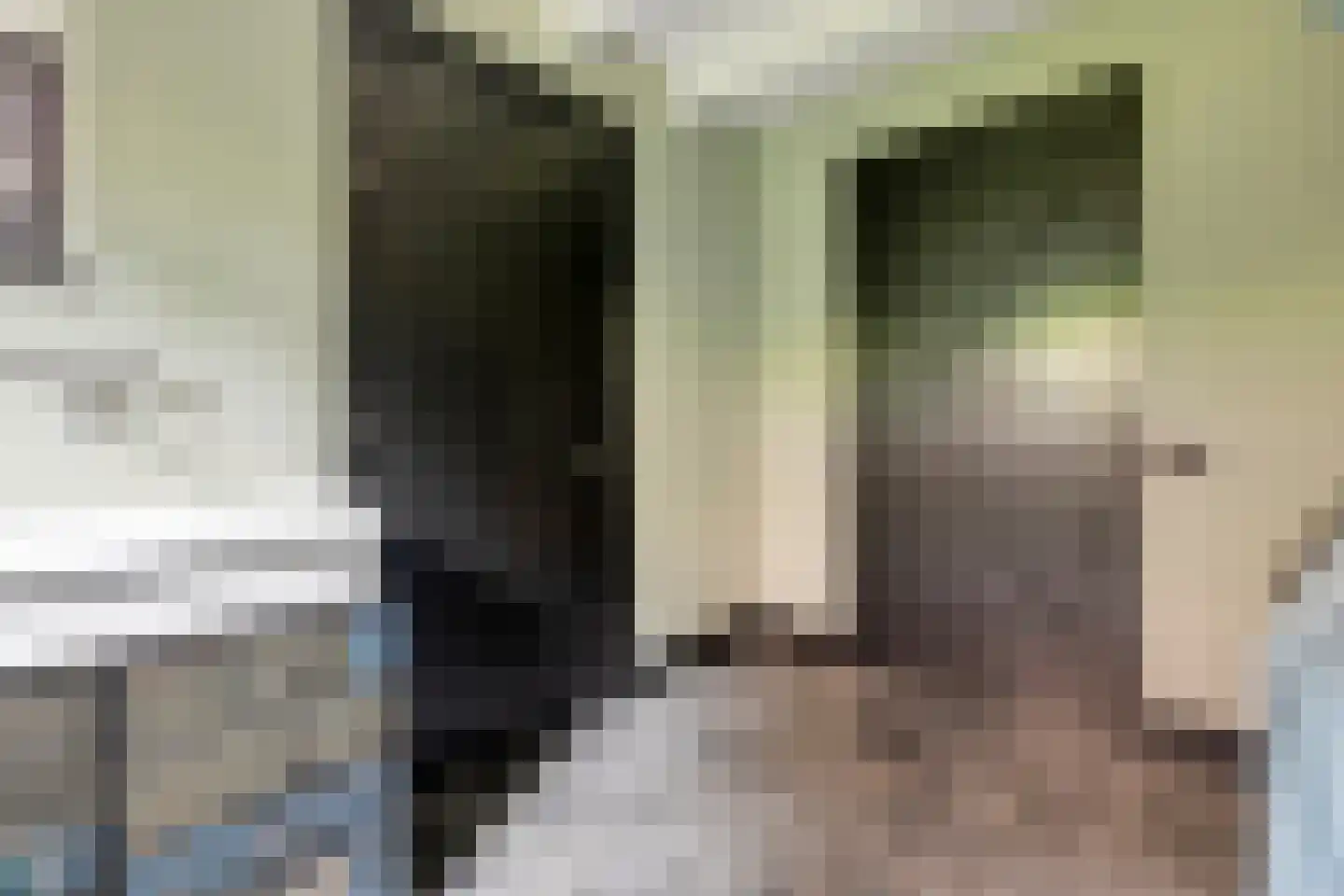 Fielepien 11 Gemert thumbnail 34