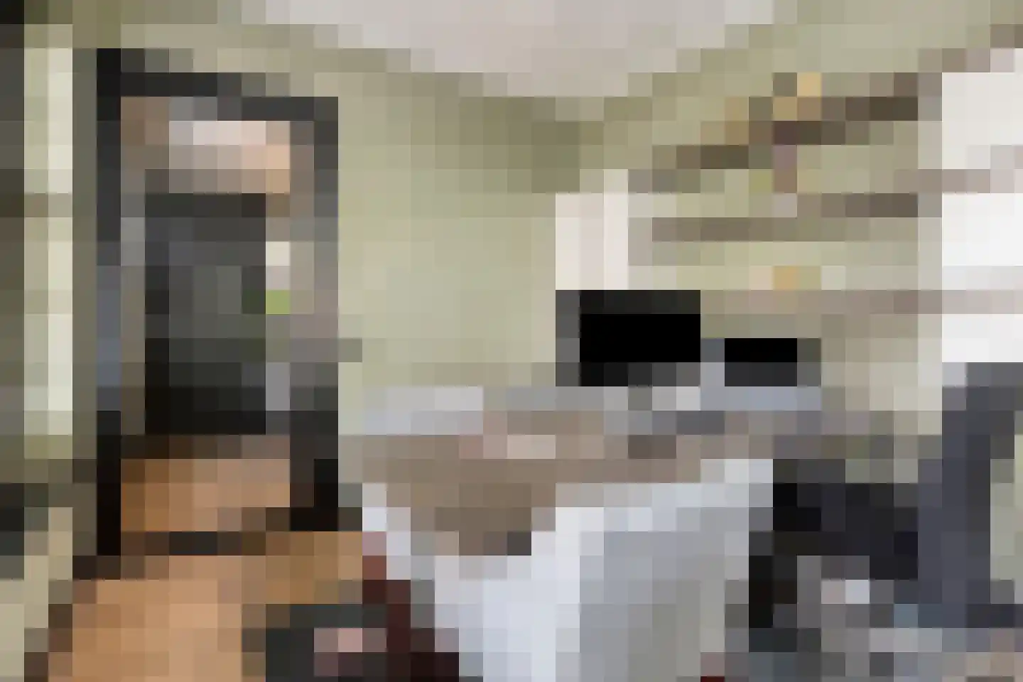 Fielepien 11 Gemert thumbnail 37