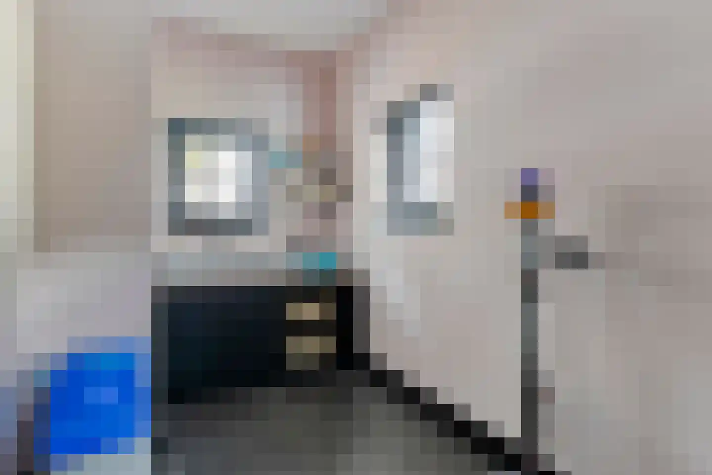 Fielepien 11 Gemert thumbnail 38