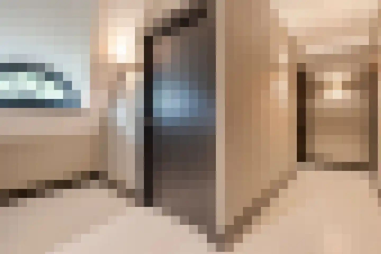 Fielepien 11 Gemert thumbnail 42