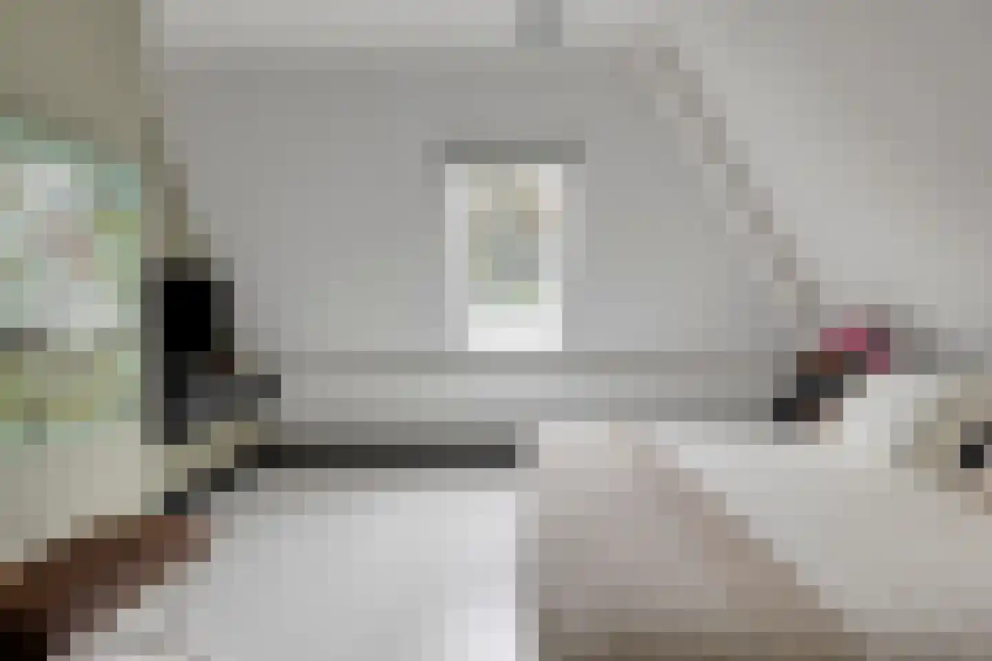 Fielepien 11 Gemert thumbnail 45