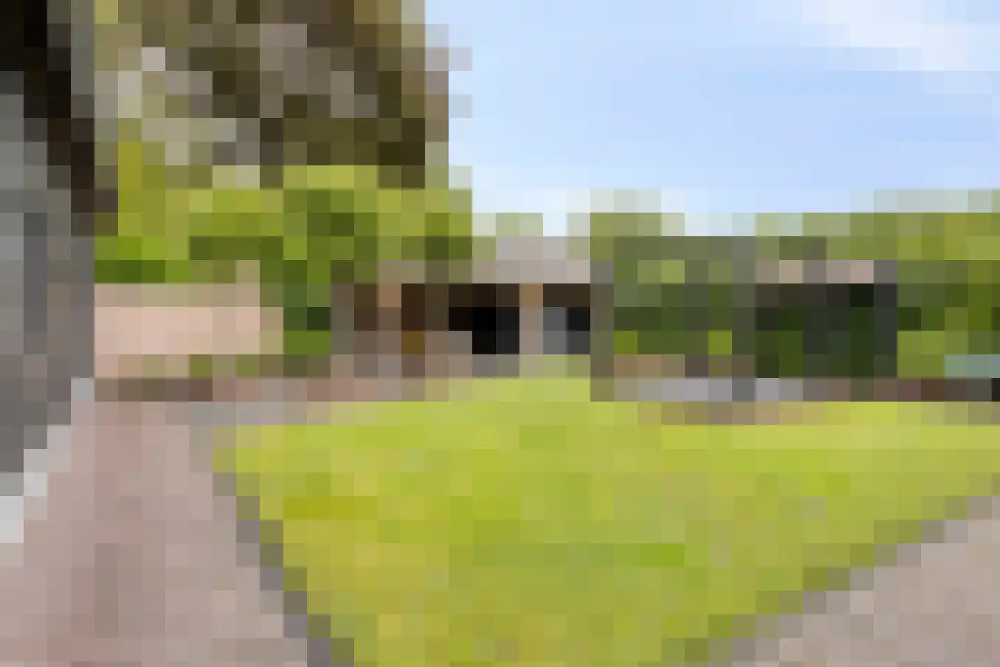 Fielepien 11 Gemert thumbnail 5