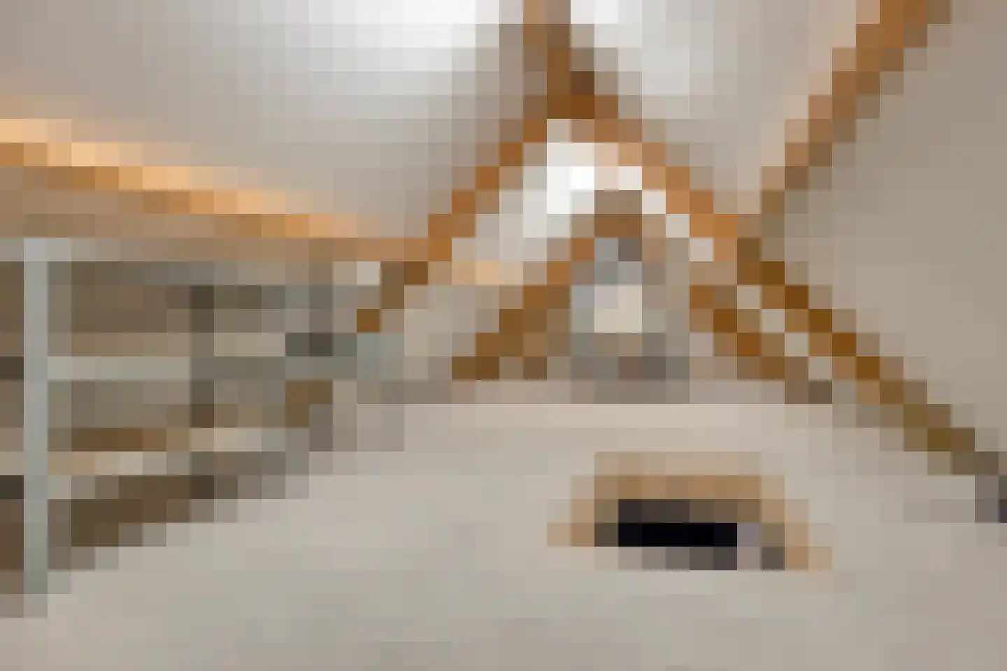 Fielepien 11 Gemert thumbnail 54