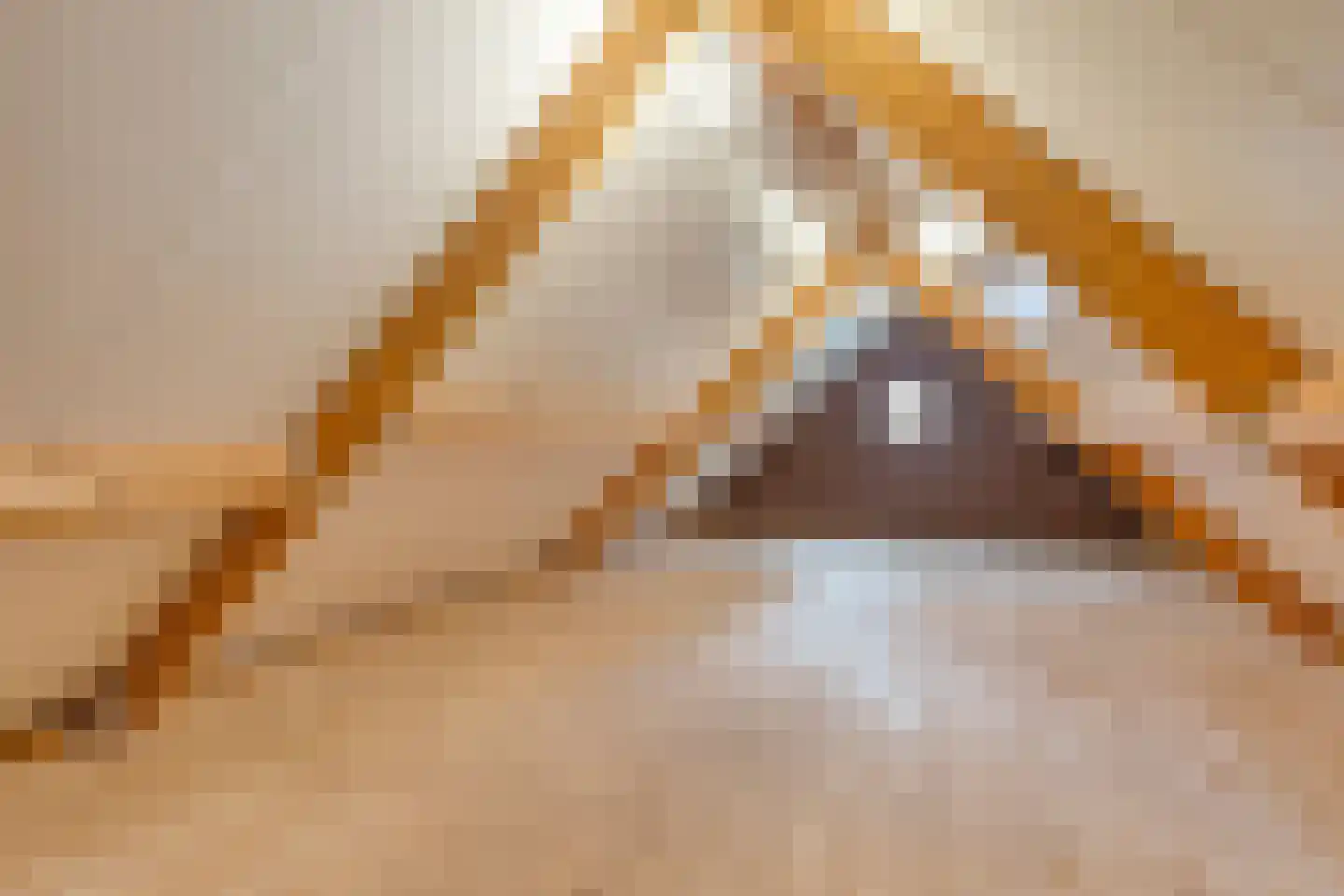 Fielepien 11 Gemert thumbnail 59