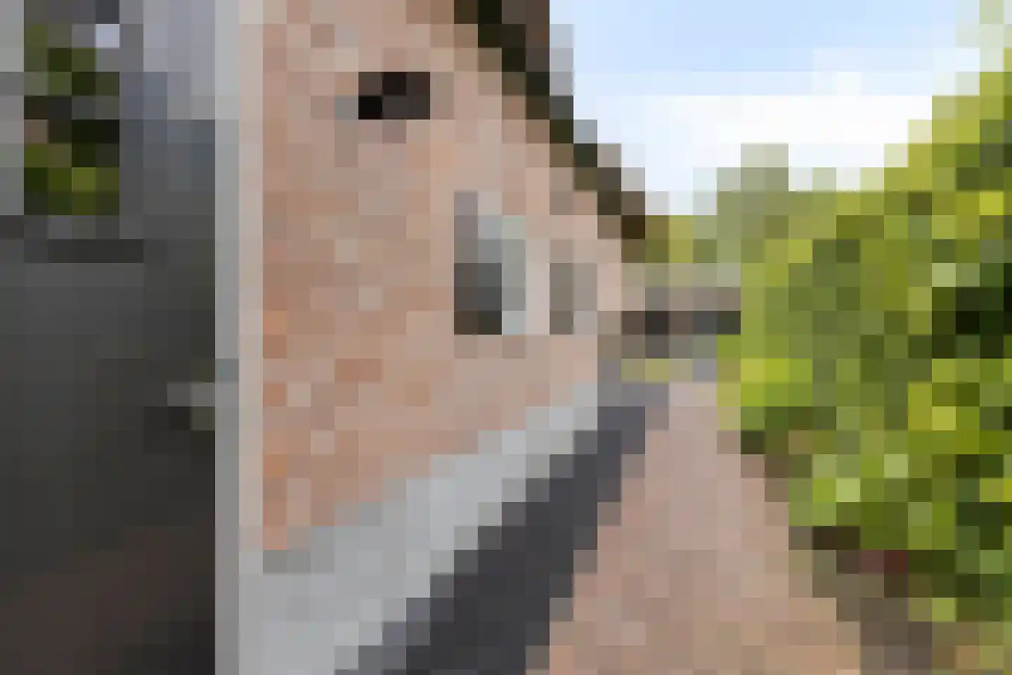 Fielepien 11 Gemert thumbnail 61