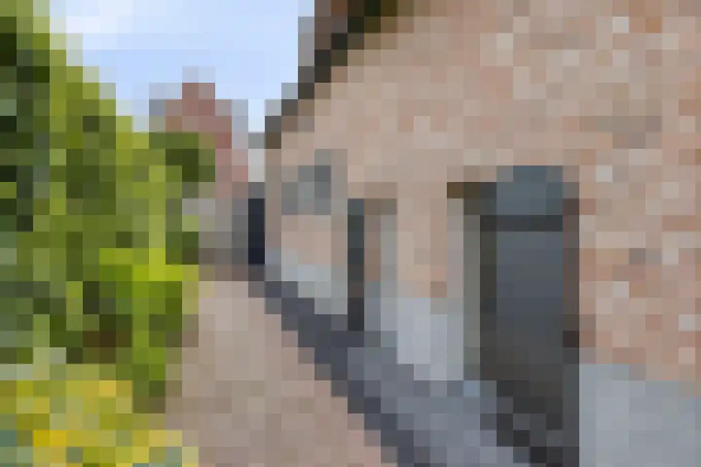 Fielepien 11 Gemert thumbnail 62