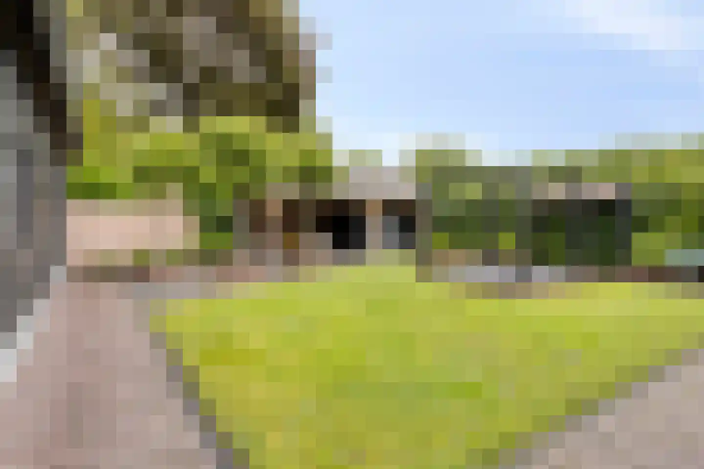 Fielepien 11 Gemert thumbnail 64