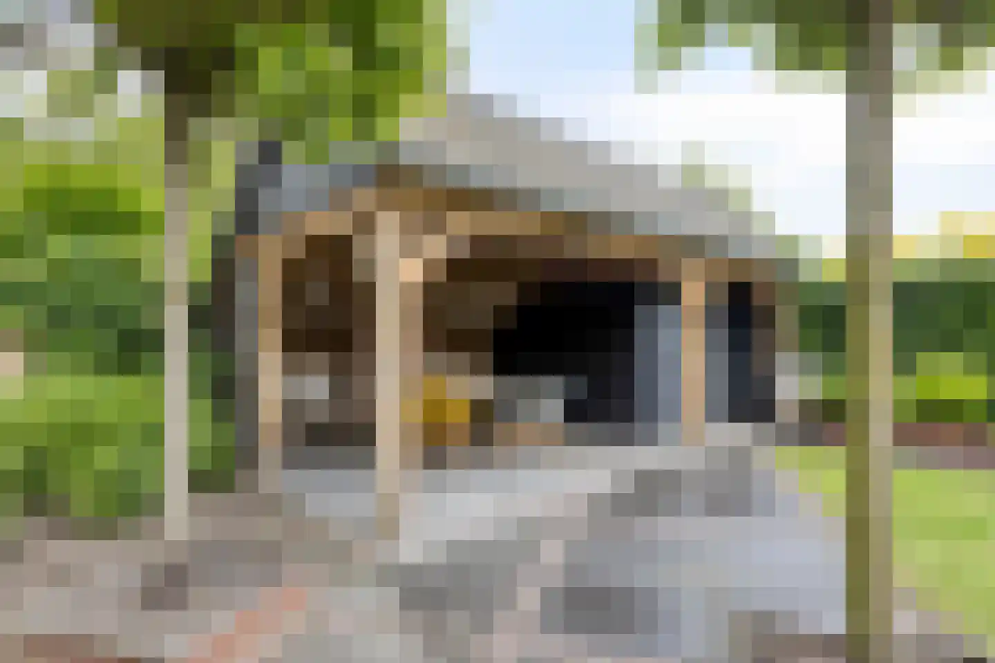 Fielepien 11 Gemert thumbnail 67
