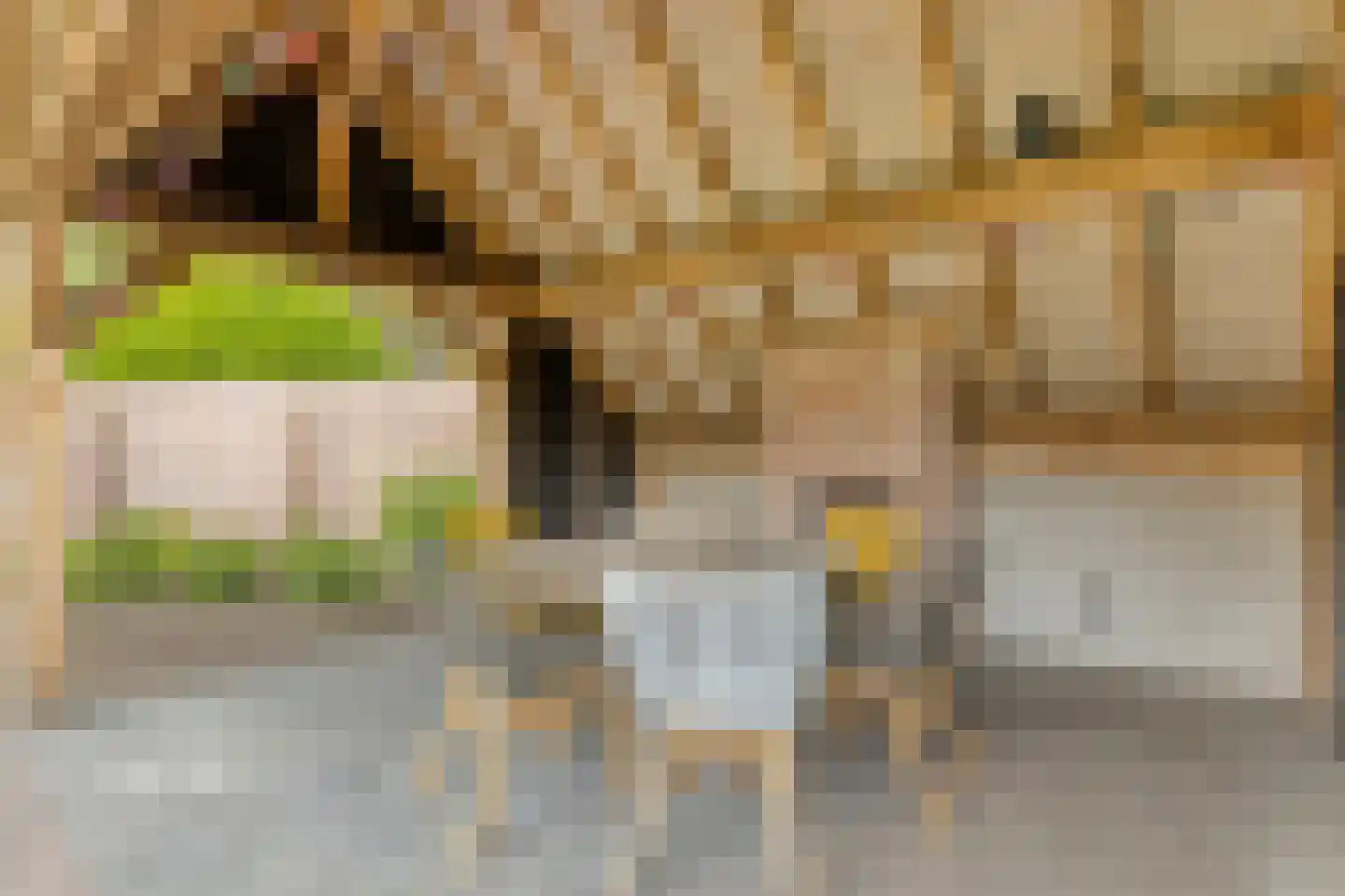 Fielepien 11 Gemert thumbnail 68