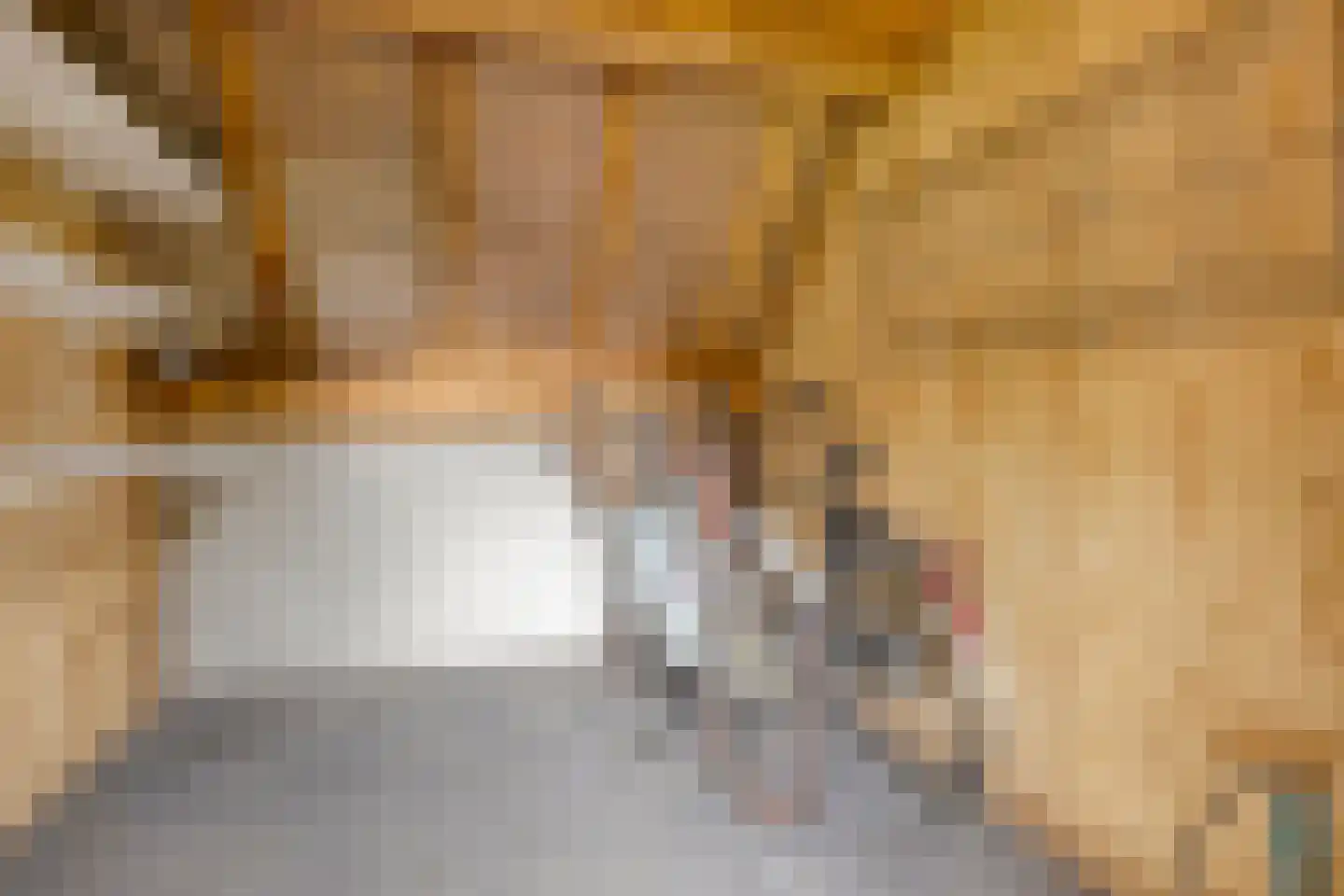 Fielepien 11 Gemert thumbnail 73