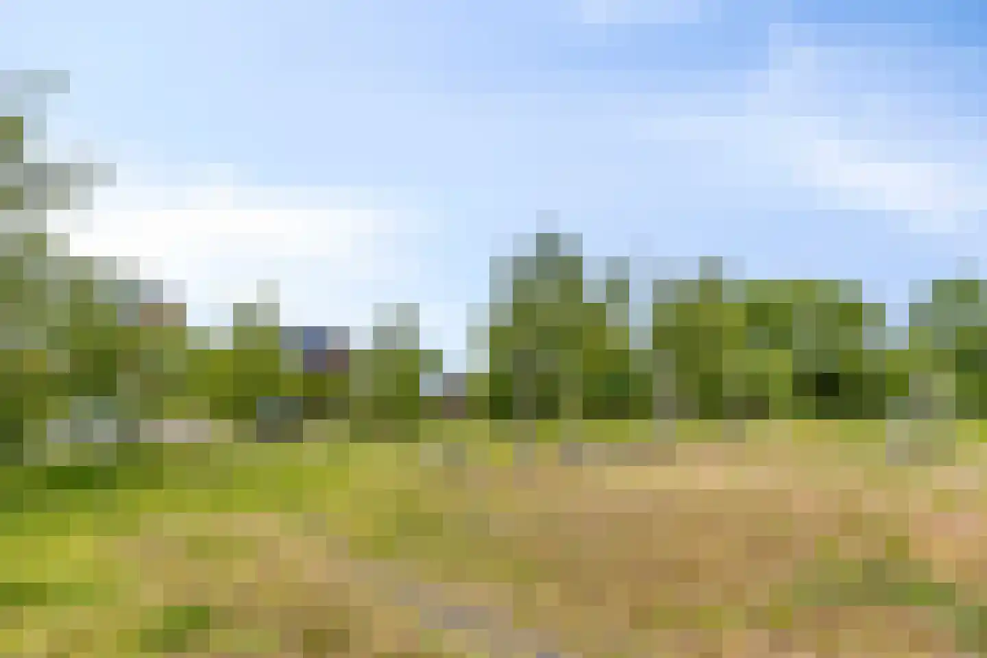 Fielepien 11 Gemert thumbnail 74