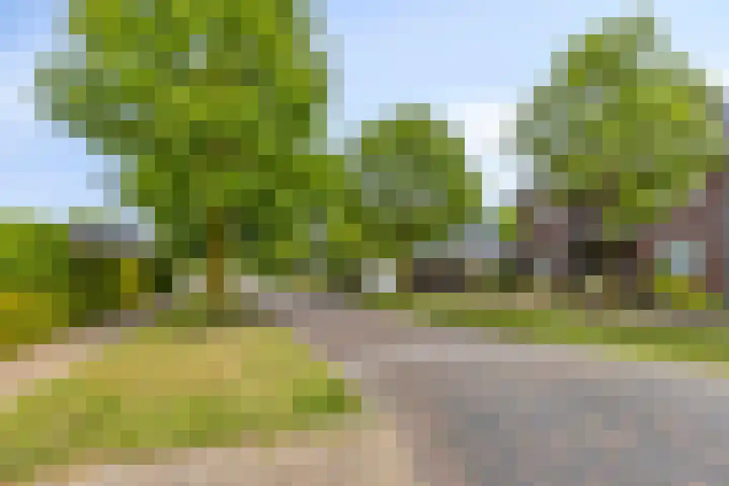 Fielepien 11 Gemert thumbnail 75