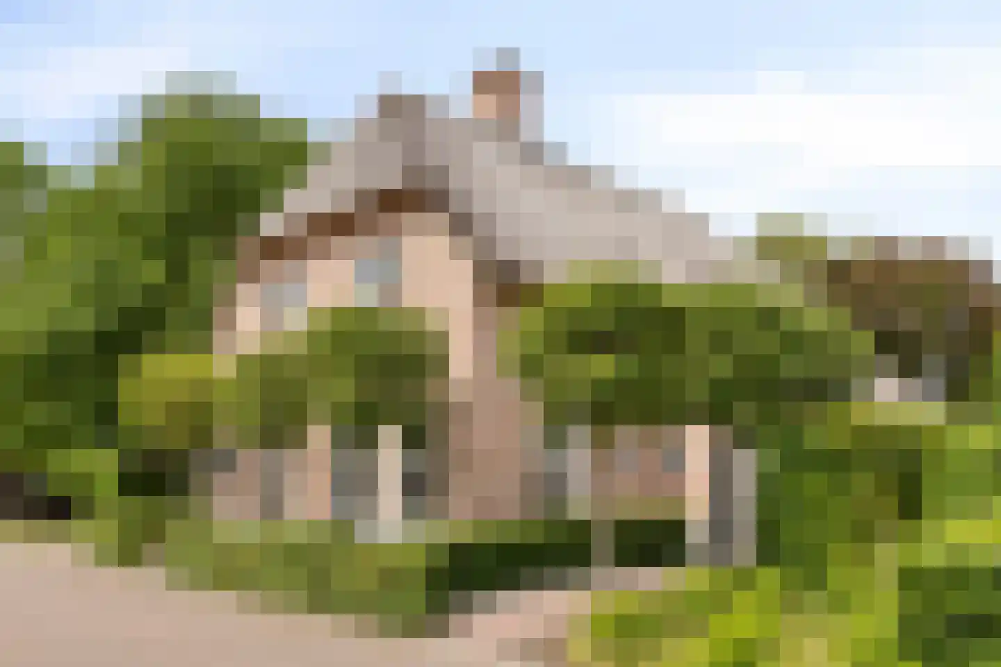 Fielepien 11 Gemert thumbnail 8