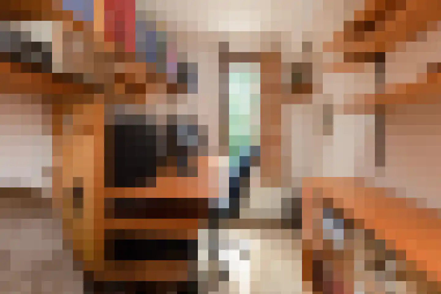 Fiem 36 Sneek thumbnail 23