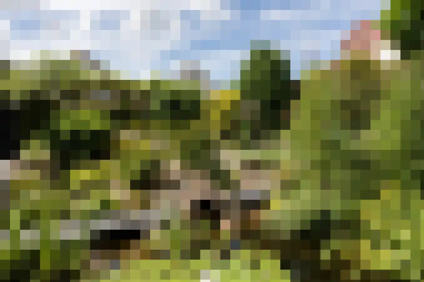 Fiem 36 Sneek thumbnail 43
