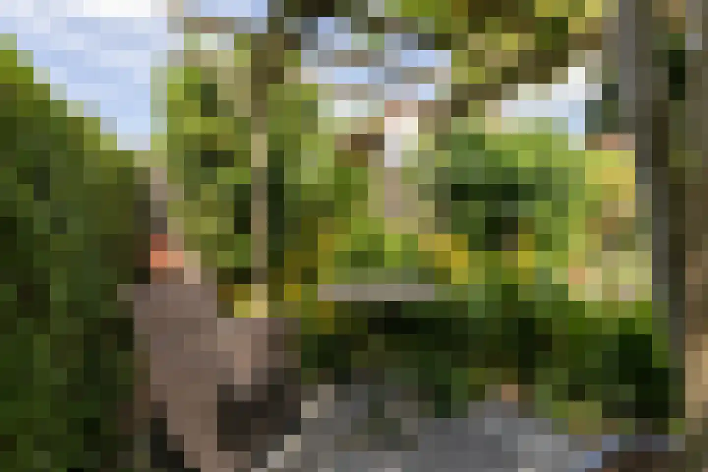 Fiem 36 Sneek thumbnail 44