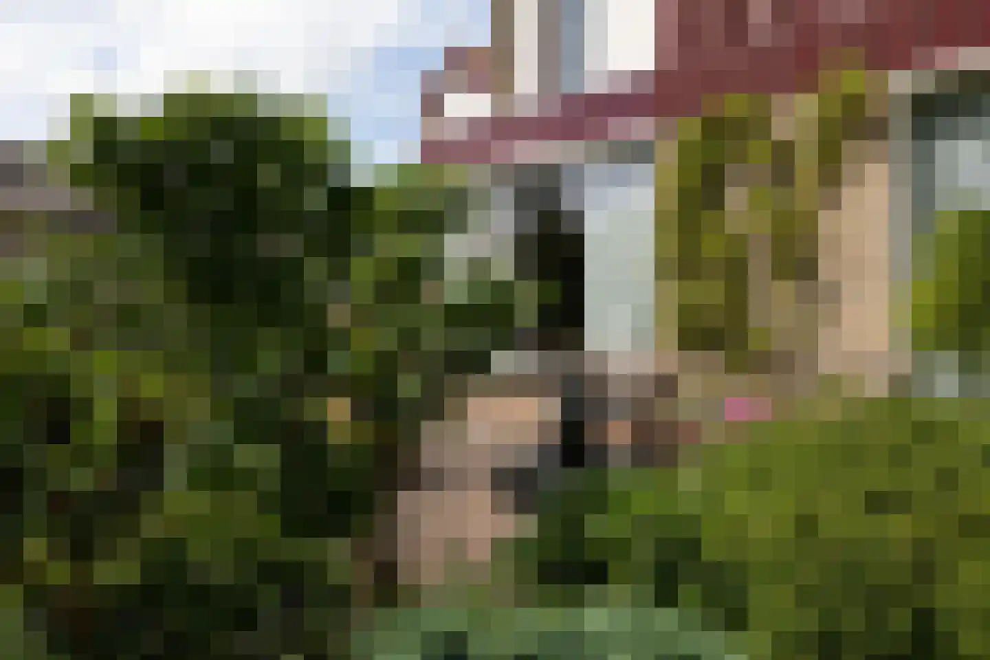 Fiem 36 Sneek thumbnail 51