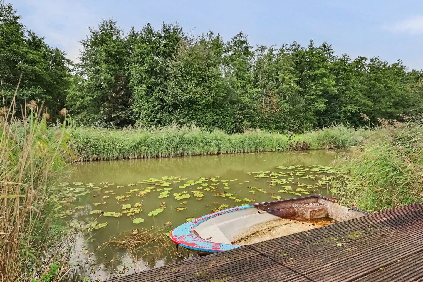 Fien de la Mardreef 32 Arnhem thumbnail 41