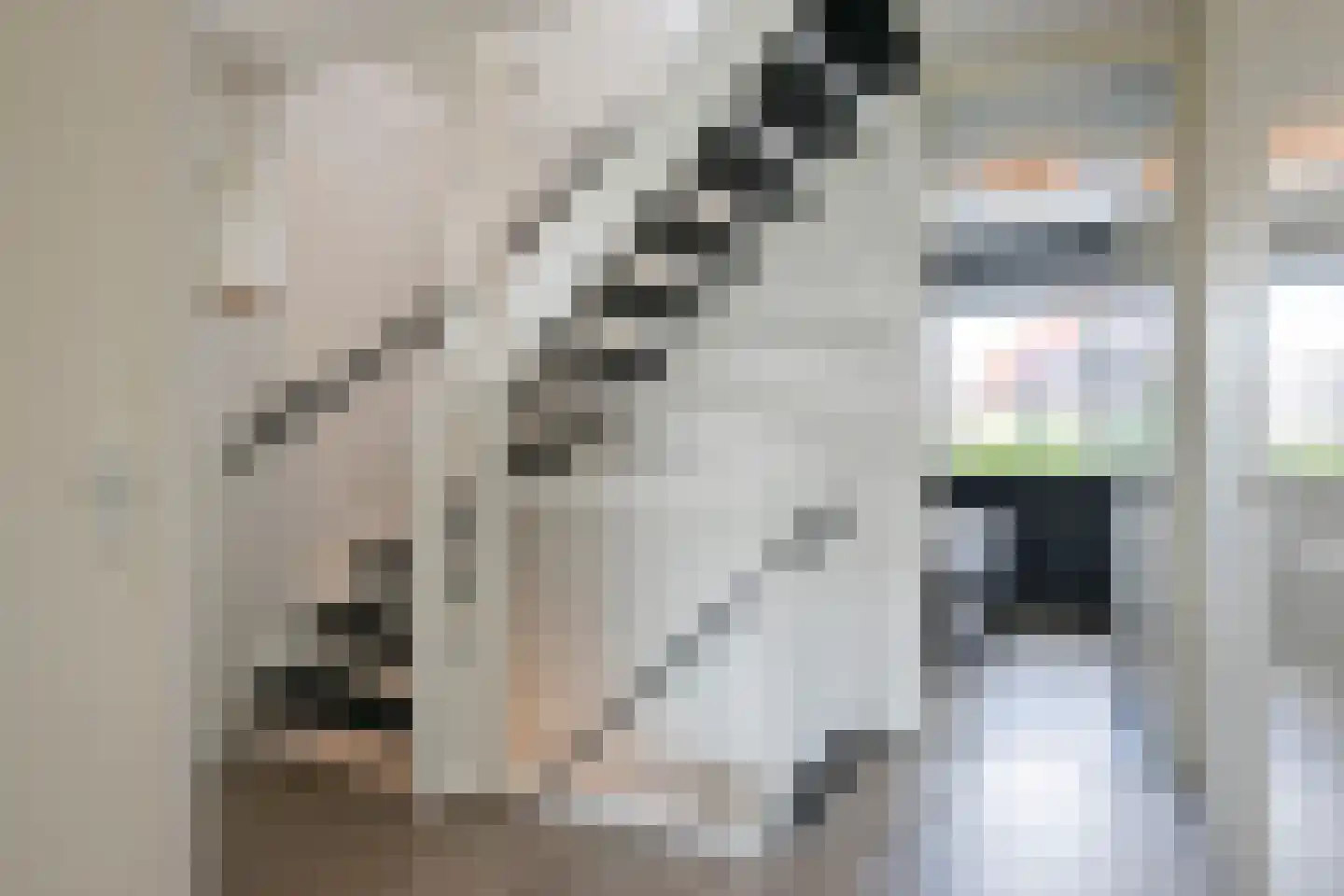 Fien de la Mardreef 33 Arnhem thumbnail 35