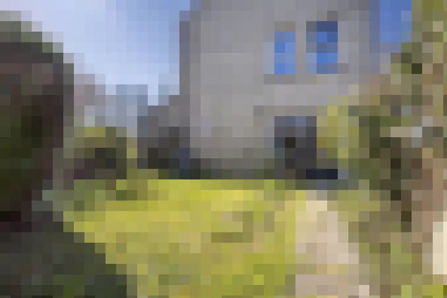 Fien de la Marlaan 21 Beverwijk thumbnail 45